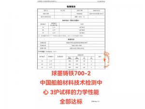 檢測報(bào)告